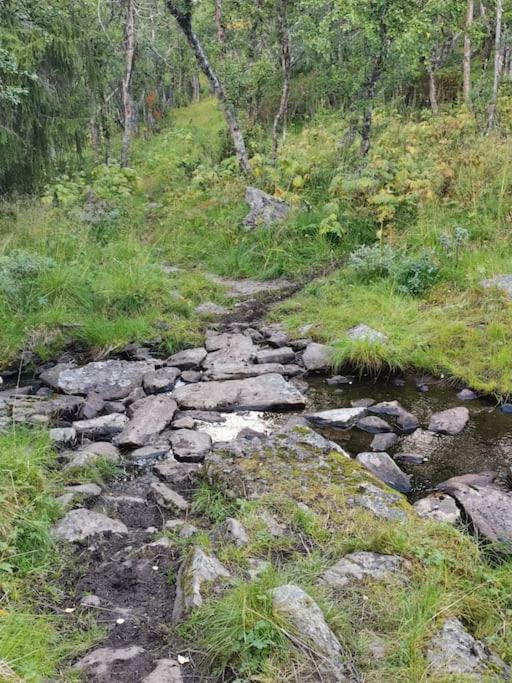 Na Er Vinteren Kommet Til Hallingdal Al Exterior foto