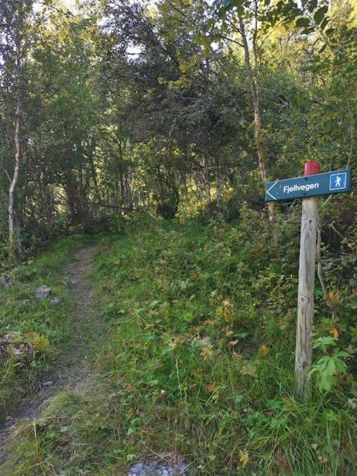 Na Er Vinteren Kommet Til Hallingdal Al Exterior foto