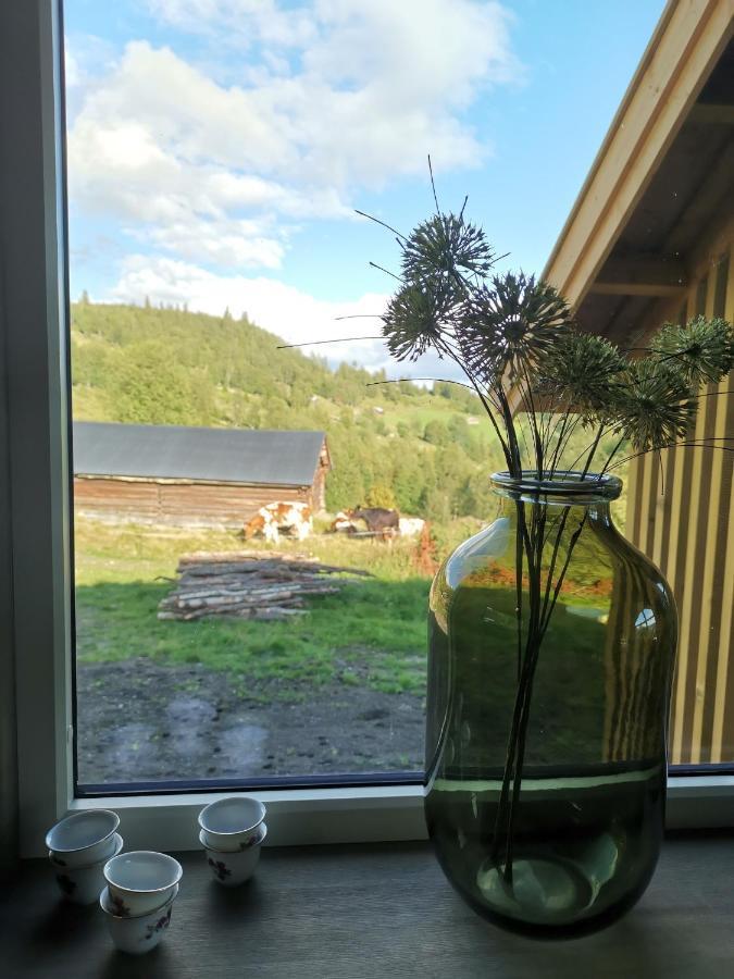 Na Er Vinteren Kommet Til Hallingdal Al Exterior foto