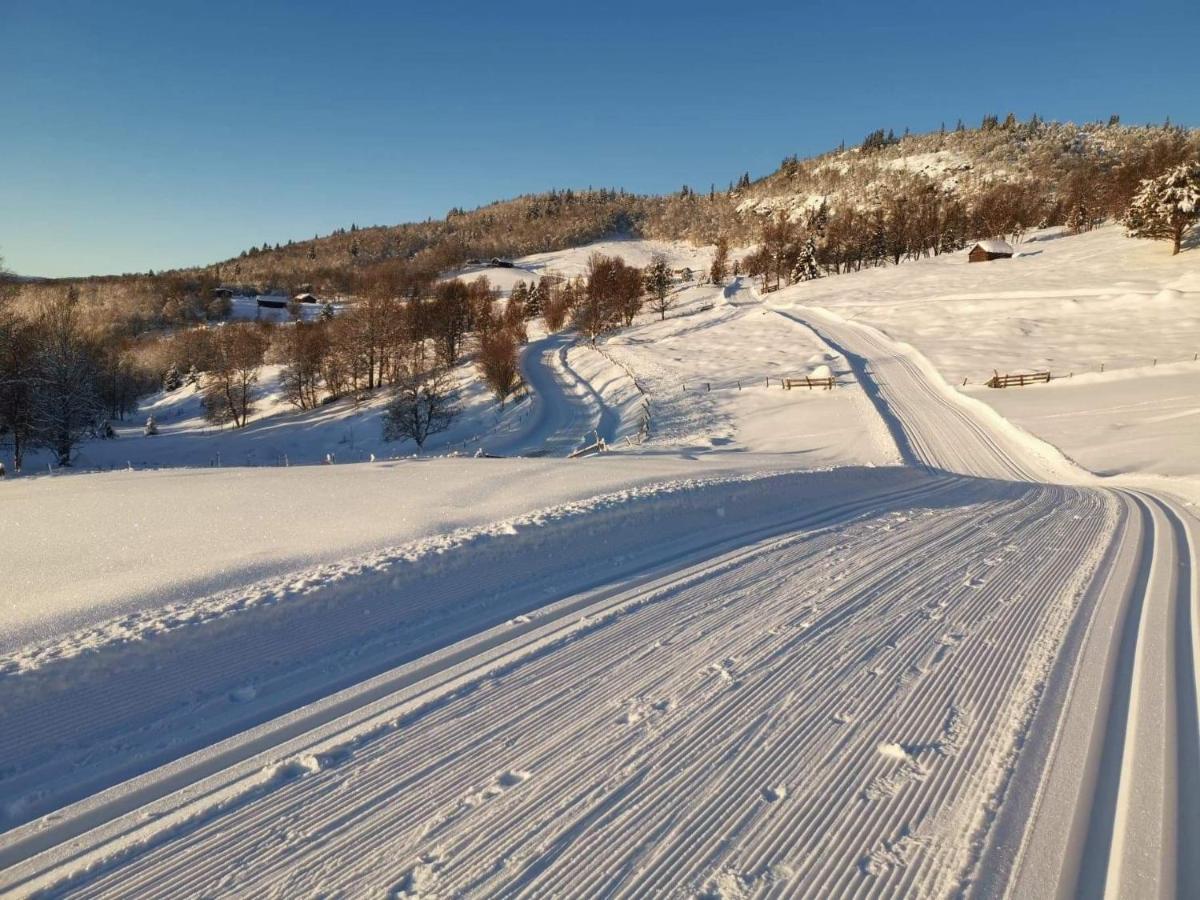 Na Er Vinteren Kommet Til Hallingdal Al Exterior foto
