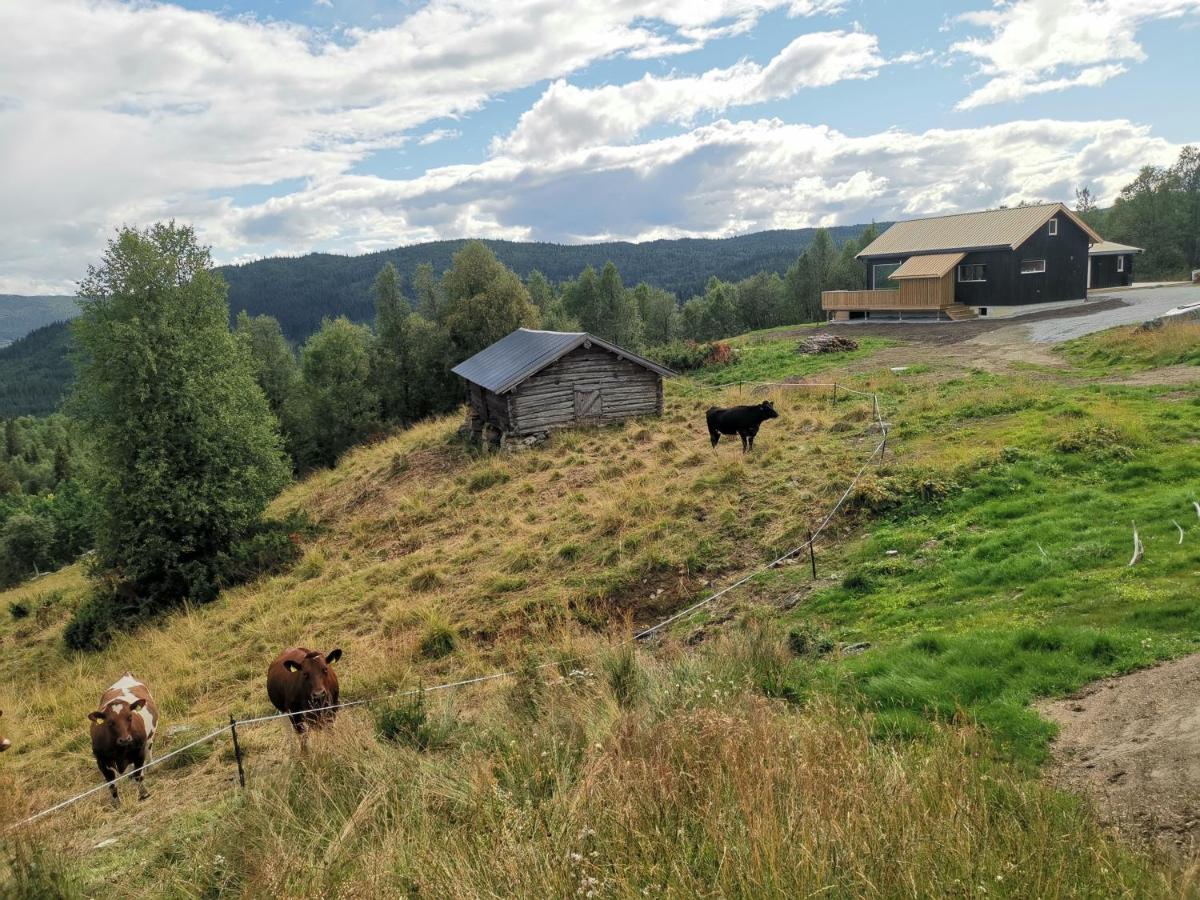 Na Er Vinteren Kommet Til Hallingdal Al Exterior foto