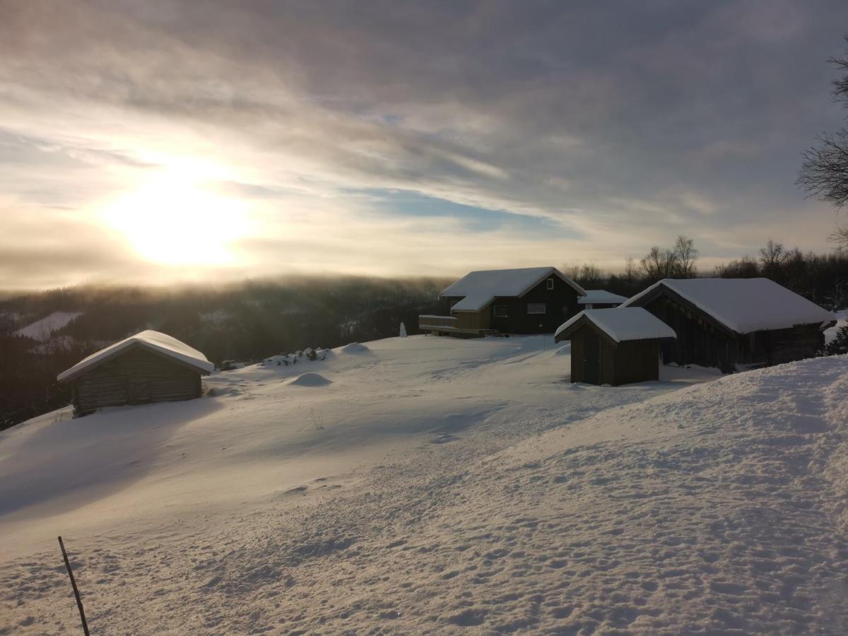 Na Er Vinteren Kommet Til Hallingdal Al Exterior foto