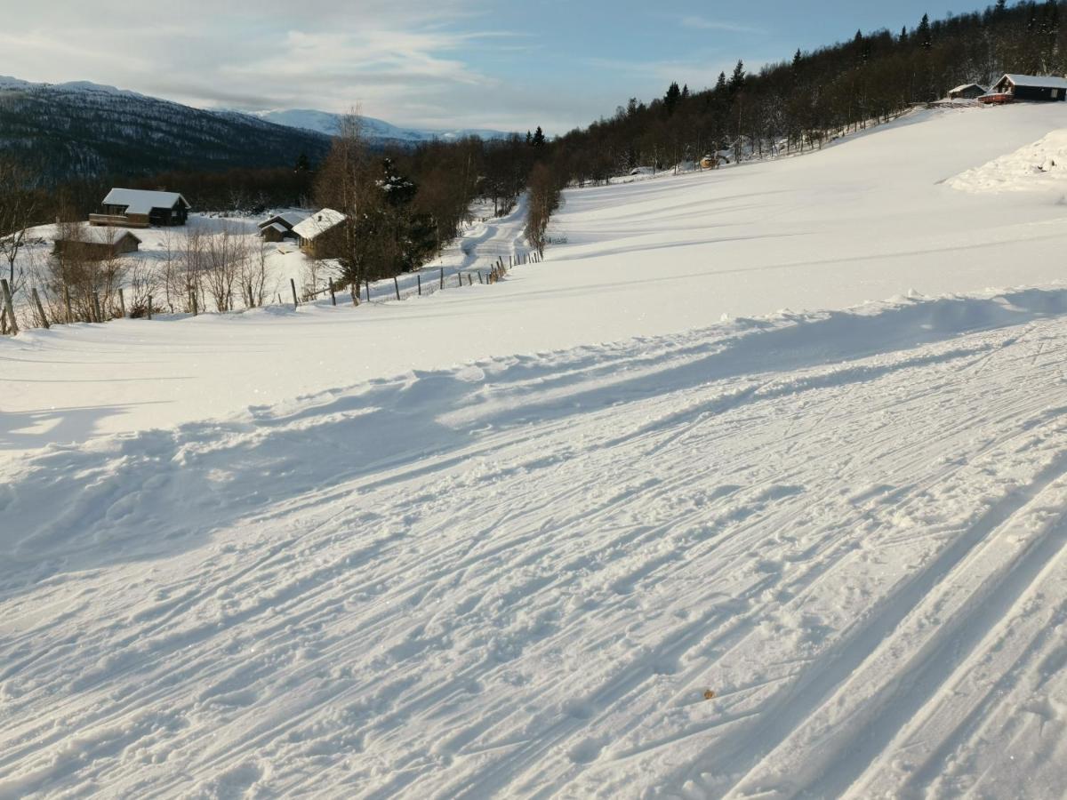 Na Er Vinteren Kommet Til Hallingdal Al Exterior foto